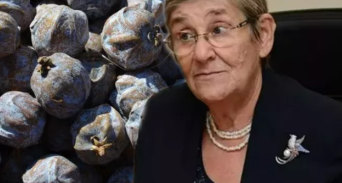 Prof. Dr. Canan Karatay süper besini açıkladı! Kabızlığa son veriyor