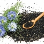 her-derde-deva!-kanser-hucrelerini-yavaslatiyor,-bagisikligi-guclendiriyor