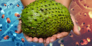 arastirma-sonucu-herkesi-sasirtti!-bu-meyve-kanser-hucrelerini-yok-ediyor