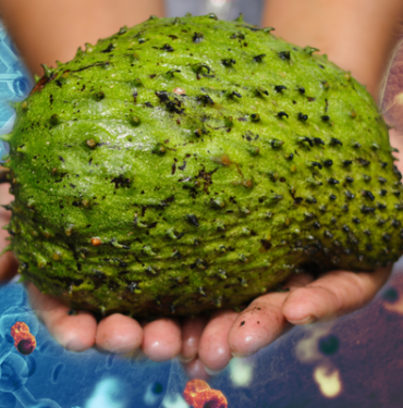 arastirma-sonucu-herkesi-sasirtti!-bu-meyve-kanser-hucrelerini-yok-ediyor