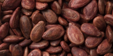 karpuz-cekirdegi-faydalari-nelerdir,-zarari-var-mi?-karpuz-cekirdegi-yenir-mi,-nasil-yenir?