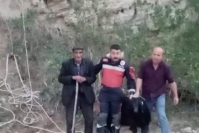 kecinin-mahsur-kaldigi-yer-pes-dedirtti