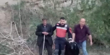 kecinin-mahsur-kaldigi-yer-pes-dedirtti