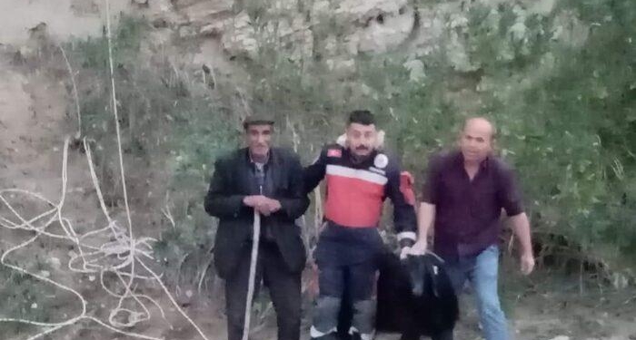 Keçinin mahsur kaldığı yer pes dedirtti