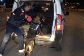 43-ilin-gecis-guzergahinda-gece-yarisi-narkotik-kopekli-denetim:-araclar-didik-didik-arandi