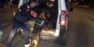 43-ilin-gecis-guzergahinda-gece-yarisi-narkotik-kopekli-denetim:-araclar-didik-didik-arandi
