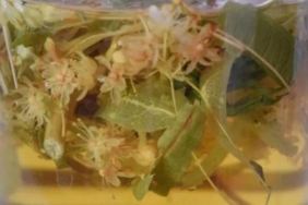 ihlamuru-boyle-icmek-faydasini-ikiye-katliyor