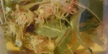 ihlamuru-boyle-icmek-faydasini-ikiye-katliyor