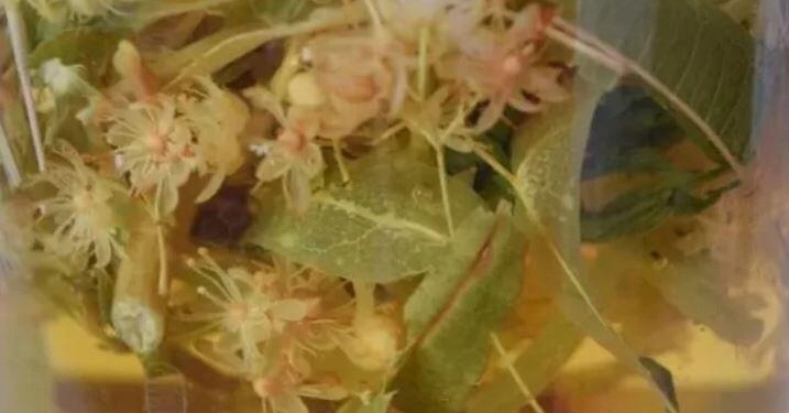 Ihlamuru böyle içmek faydasını ikiye katlıyor