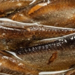 vucudu-en-hizli-zehirleyen-besin…