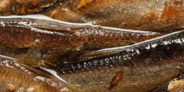 vucudu-en-hizli-zehirleyen-besin…