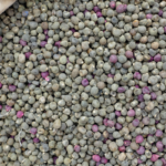 etten-daha-fazla-protein-iceriyor!-magnezyum-deposu-bu-besin-diz-agrilarini-aninda-geciriyor