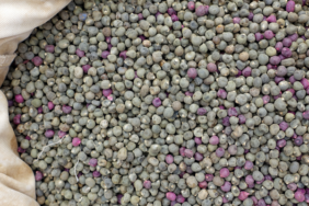 etten-daha-fazla-protein-iceriyor!-magnezyum-deposu-bu-besin-diz-agrilarini-aninda-geciriyor