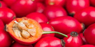 limondan-10-kat-daha-fazla-c-vitamini-iceriyor!-her-gun-yiyenler-hastalik-yuzu-gormuyor