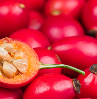 limondan-10-kat-daha-fazla-c-vitamini-iceriyor!-her-gun-yiyenler-hastalik-yuzu-gormuyor