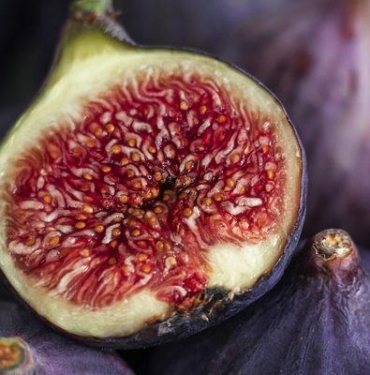 incir-cekirdegi-yagi-faydalari-nelerdir,-ne-ise-yarar?-incir-cekirdegi-yagi-nasil-kullanilir?