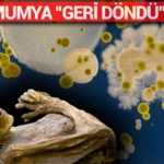 mumya-“geri-dondu”:-uzmanlardan-“sakin-yaklasmayin”-uyarisi