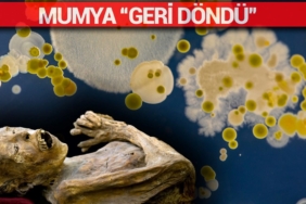 mumya-“geri-dondu”:-uzmanlardan-“sakin-yaklasmayin”-uyarisi