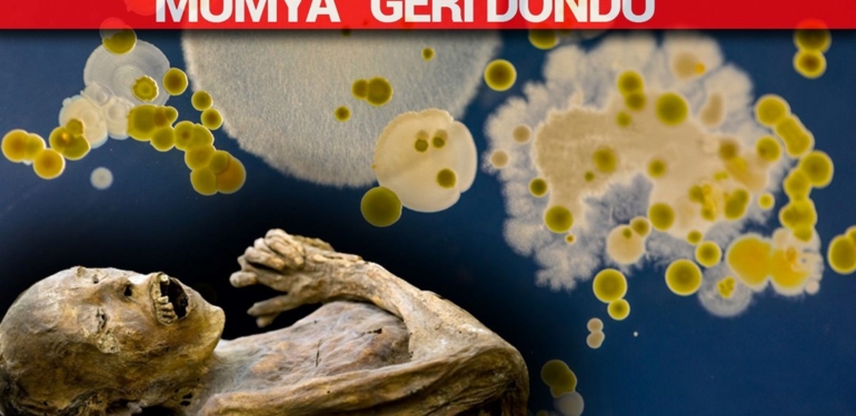 Mumya “geri döndü”: Uzmanlardan “sakın yaklaşmayın” uyarısı