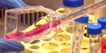 kanseri-can-evinden-vuracak-calisma!-tedaviyi-once-laboratuvarda-deniyorlar