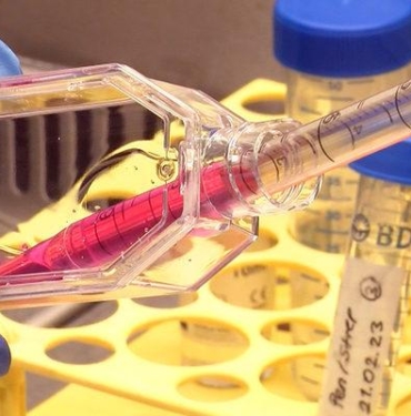 kanseri-can-evinden-vuracak-calisma!-tedaviyi-once-laboratuvarda-deniyorlar