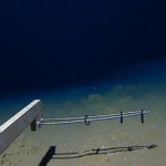 8-km-derinlikte-balik-avi:-bugune-kadar-en-derinde-avlanan-balik-rekoru-kirildi