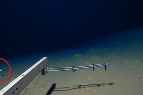 8-km-derinlikte-balik-avi:-bugune-kadar-en-derinde-avlanan-balik-rekoru-kirildi