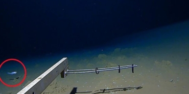 8-km-derinlikte-balik-avi:-bugune-kadar-en-derinde-avlanan-balik-rekoru-kirildi