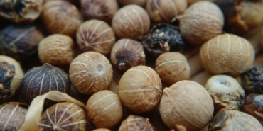 hazinenin-degeri-bilinmiyor!-kanserden-koruyor,-dogal-afrodizyak-etkisi-yaratiyor