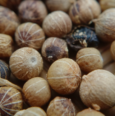 hazinenin-degeri-bilinmiyor!-kanserden-koruyor,-dogal-afrodizyak-etkisi-yaratiyor