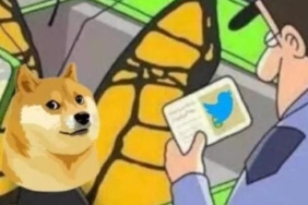 twitter-logosundaki-kopek-nedir?-dogecoin-icin-twitter'a-kopek-logosu-geldi!-twitter-kopek-anlami!