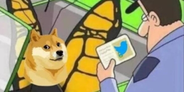 twitter-logosundaki-kopek-nedir?-dogecoin-icin-twitter'a-kopek-logosu-geldi!-twitter-kopek-anlami!