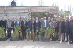 mus’ta-ciftcilere-20-bin-meyve-fidani-dagitildi