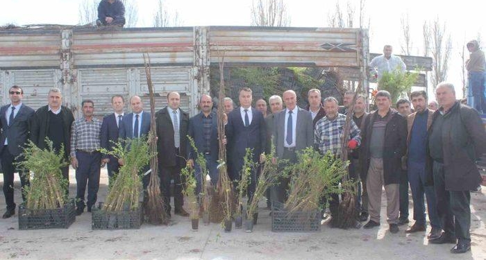 Muş’ta çiftçilere 20 bin meyve fidanı dağıtıldı