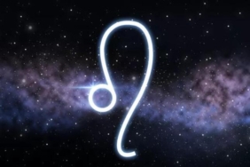 aslan-erkegi-koc-kadini-burc-uyumu…-koc-kadini-ile-aslan-erkegi-nasil-anlasir?