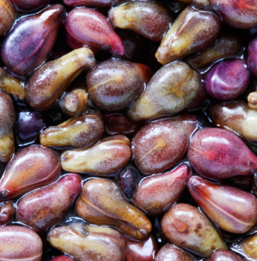 sakin-cope-atmayin!-kansere-karsi-kalkan-oluyor,-bagirsaklari-temizliyor