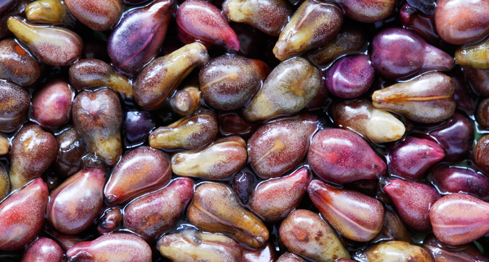 Sakın çöpe atmayın! Kansere karşı kalkan oluyor, bağırsakları temizliyor