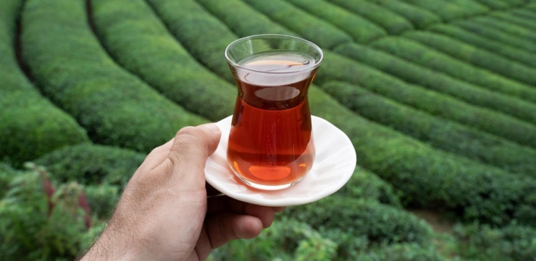 Çaykur’dan destek ödemeleriyle ilgili açıklama: Yaş çay destek ödemeleri yattı mı?