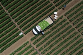 ciftcilere-1,3-milyar-liralik-tarimsal-destekleme-odemesi-bugun