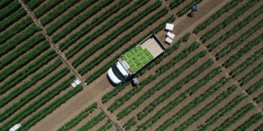 ciftcilere-1,3-milyar-liralik-tarimsal-destekleme-odemesi-bugun