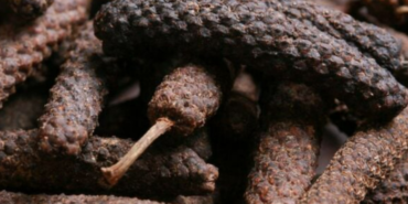 dogal-sifa-kaynagi!-cinsel-gucu-artiriyor,-enfeksiyonlari-sokup-atiyor