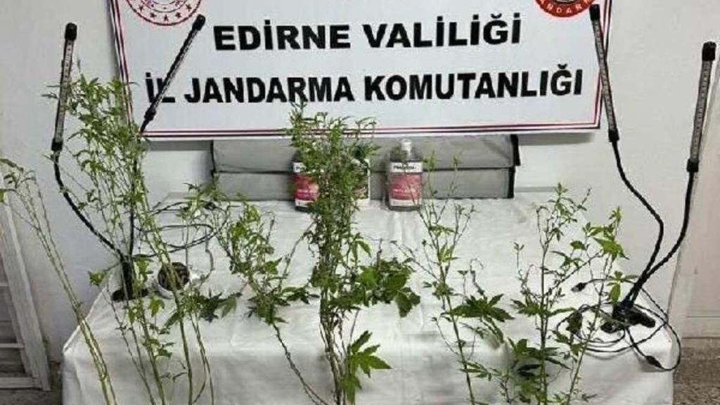 edirne’de-uyusturucu-ve-kacakcilik-operasyonlari;-3-gozalti