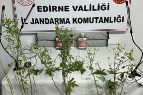 edirne’de-uyusturucu-ve-kacakcilik-operasyonlari;-3-gozalti