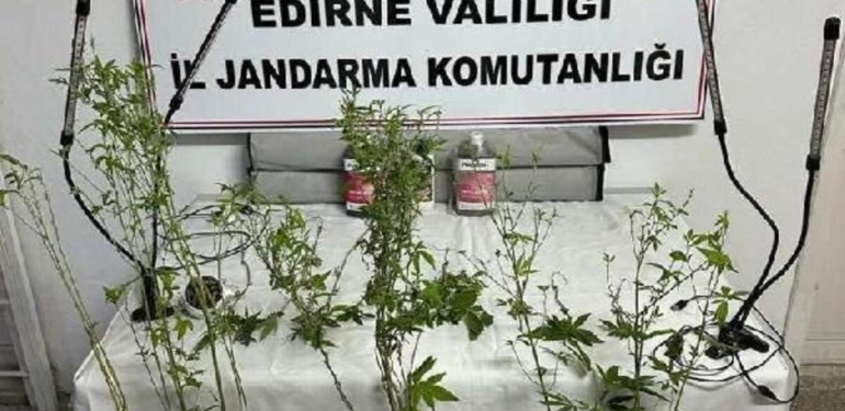 Edirne’de uyuşturucu ve kaçakçılık operasyonları; 3 gözaltı