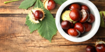 at-kestanesi-balsami-faydalari-nelerdir,-yuze-surulur-mu?-at-kestanesi-balsami-ne-ise-yarar,-basura-iyi-gelir-mi?