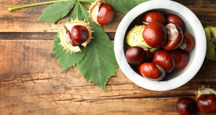 at-kestanesi-balsami-faydalari-nelerdir,-yuze-surulur-mu?-at-kestanesi-balsami-ne-ise-yarar,-basura-iyi-gelir-mi?