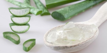 aloe-vera-jeli-faydalari-nelerdir,-saca-ve-yuze-nasil-kullanilir?-aloe-vera-jeli-ne-ise-yarar,-nasil-kullanilir?
