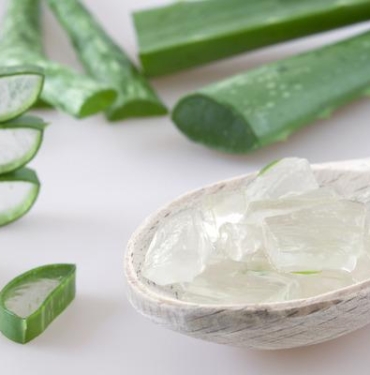 aloe-vera-jeli-faydalari-nelerdir,-saca-ve-yuze-nasil-kullanilir?-aloe-vera-jeli-ne-ise-yarar,-nasil-kullanilir?