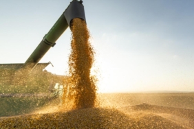 tahil-koridoru-icin-istanbul’da-toplanti