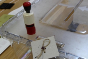 mhp-milletvekilleri-isimleri-2023!-28.-donem-mhp-milletvekilleri-kimler-oldu?